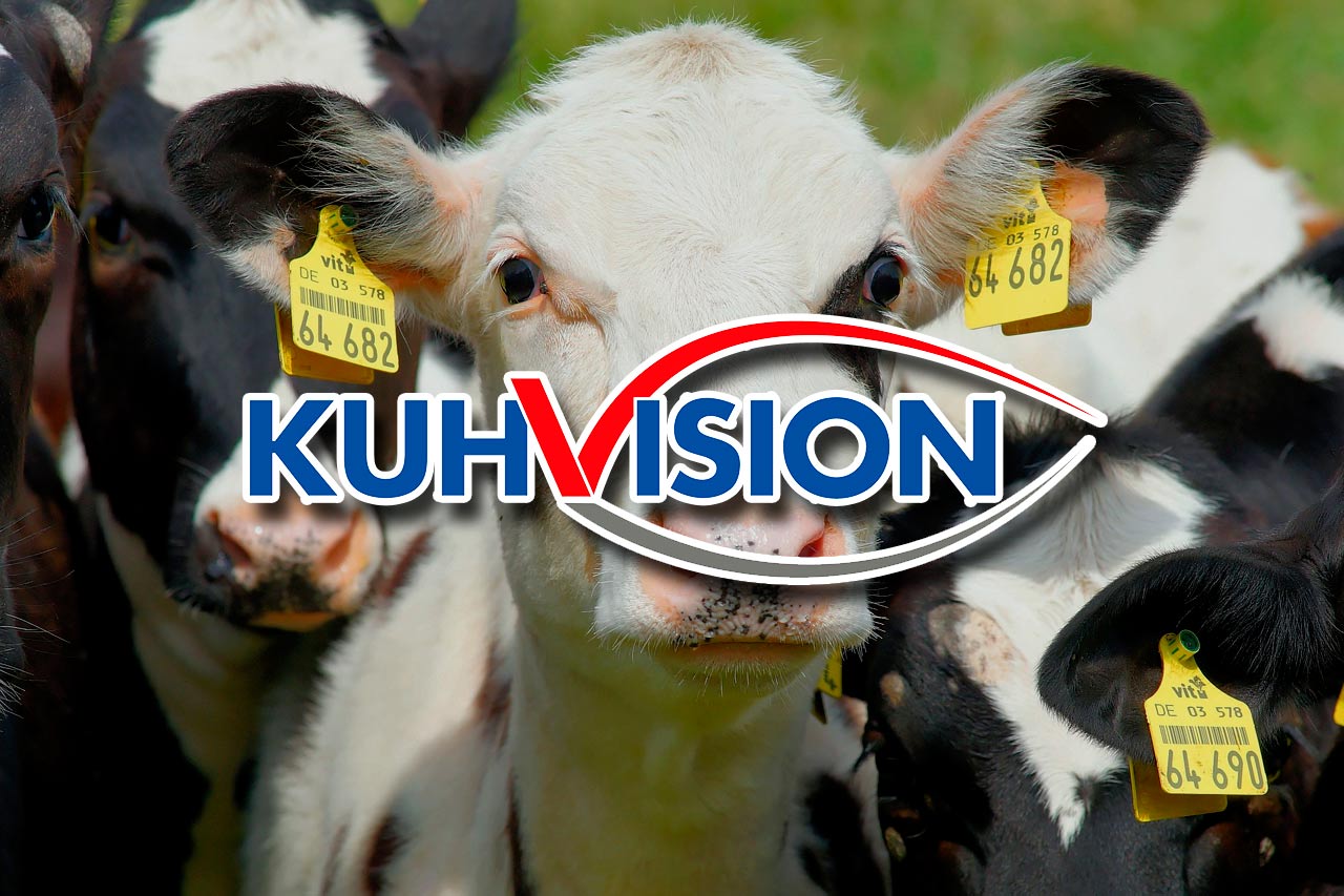 Kuhvision